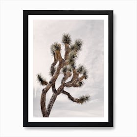 Joshua Tree Sky Art Print