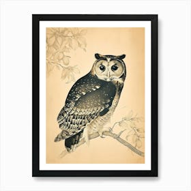 Australian Masked Owl Vintage Illustration 5 Art Print