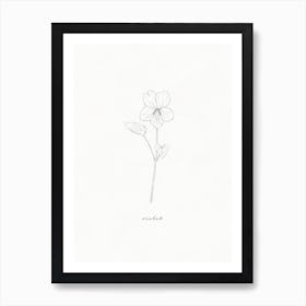 Violet Line Drawing Art Print