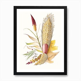 Corn Silk Spices And Herbs Pencil Illustration 5 Art Print