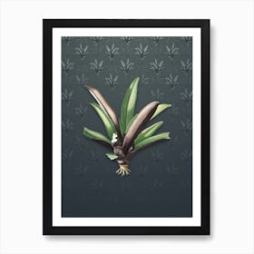 Vintage Boat Lily Botanical on Slate Gray Pattern n.2369 Art Print