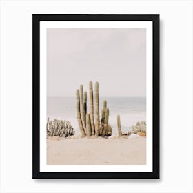 Oceanside Cactus Art Print