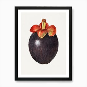 Guava Fruit 1 Art Print