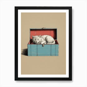 Cat In A Box 1 Art Print