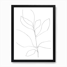 7 Leaf Plant Art Print