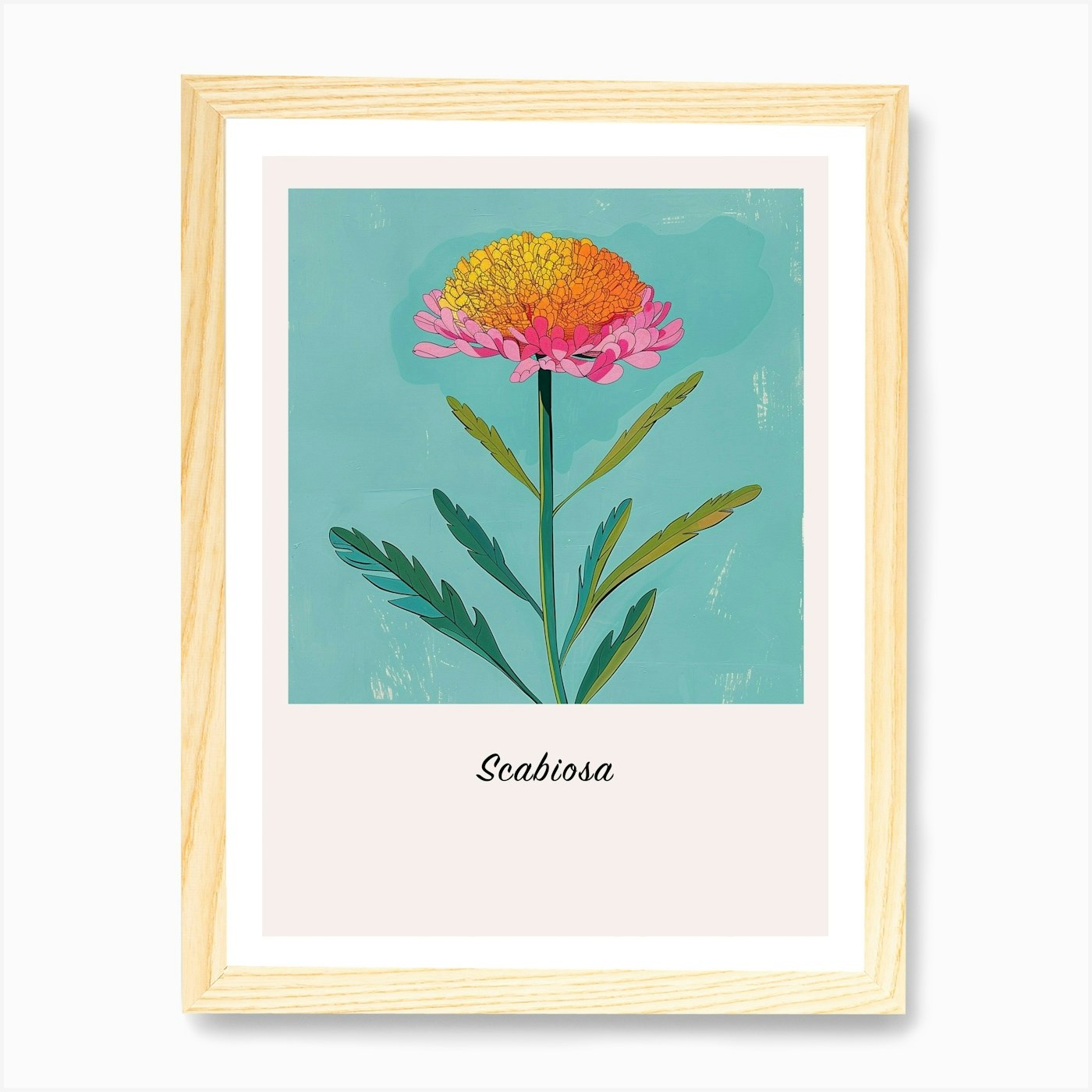 Scabiosa 1 Square Flower Illustrati Framed Wall Art Poster Canvas Print Picture - Picture 4 of 4