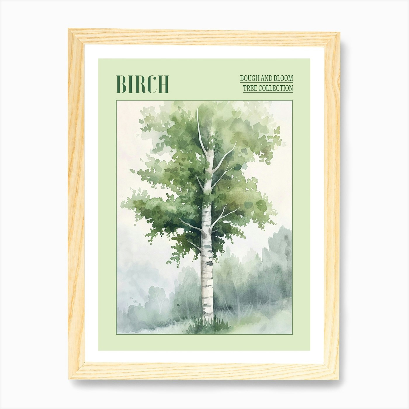 Birch Tree Atmospheric Watercolour Framed Wall Art Poster Canvas Print Picture - Picture 4 of 4