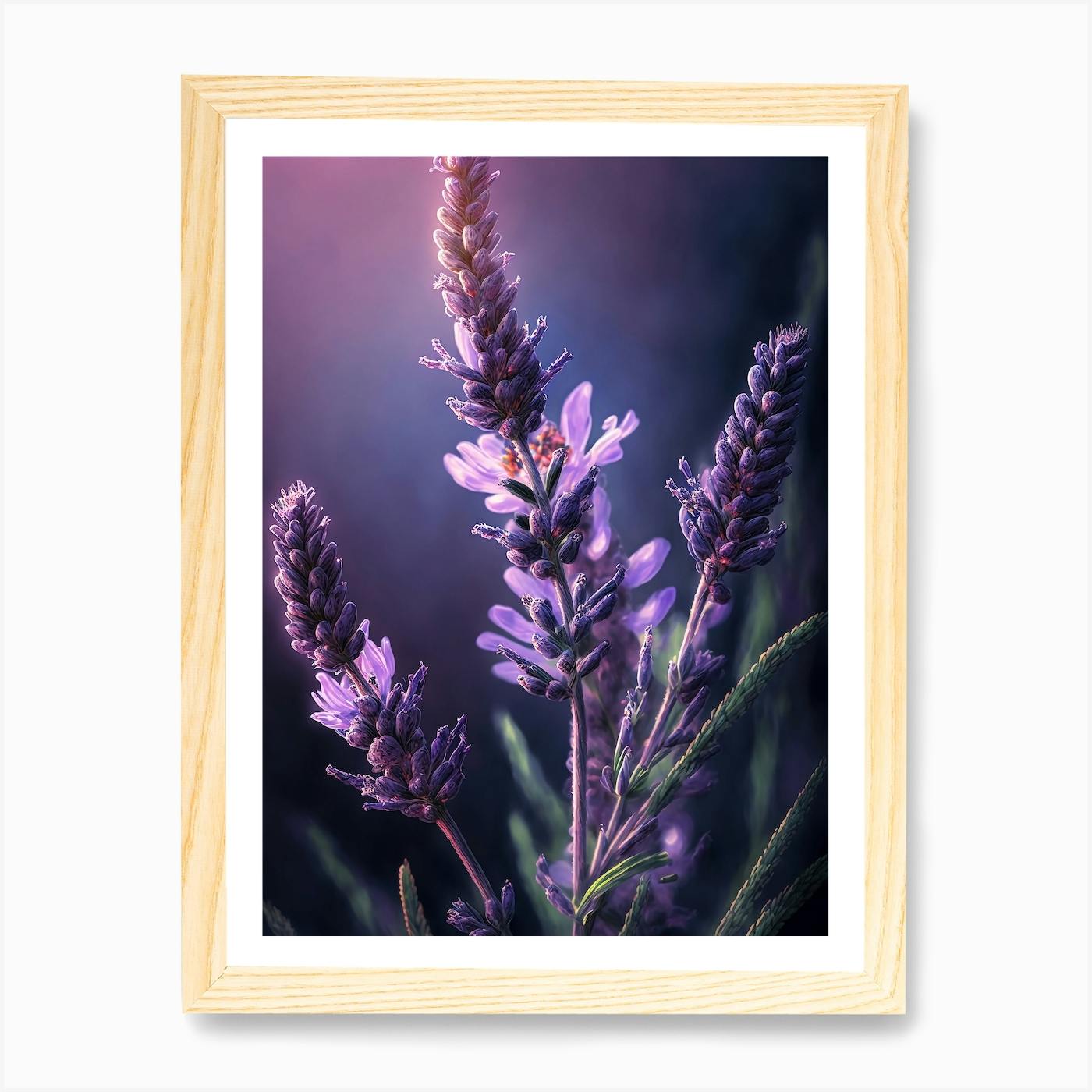 Lavender Flowers Art Print by haroulita Fy