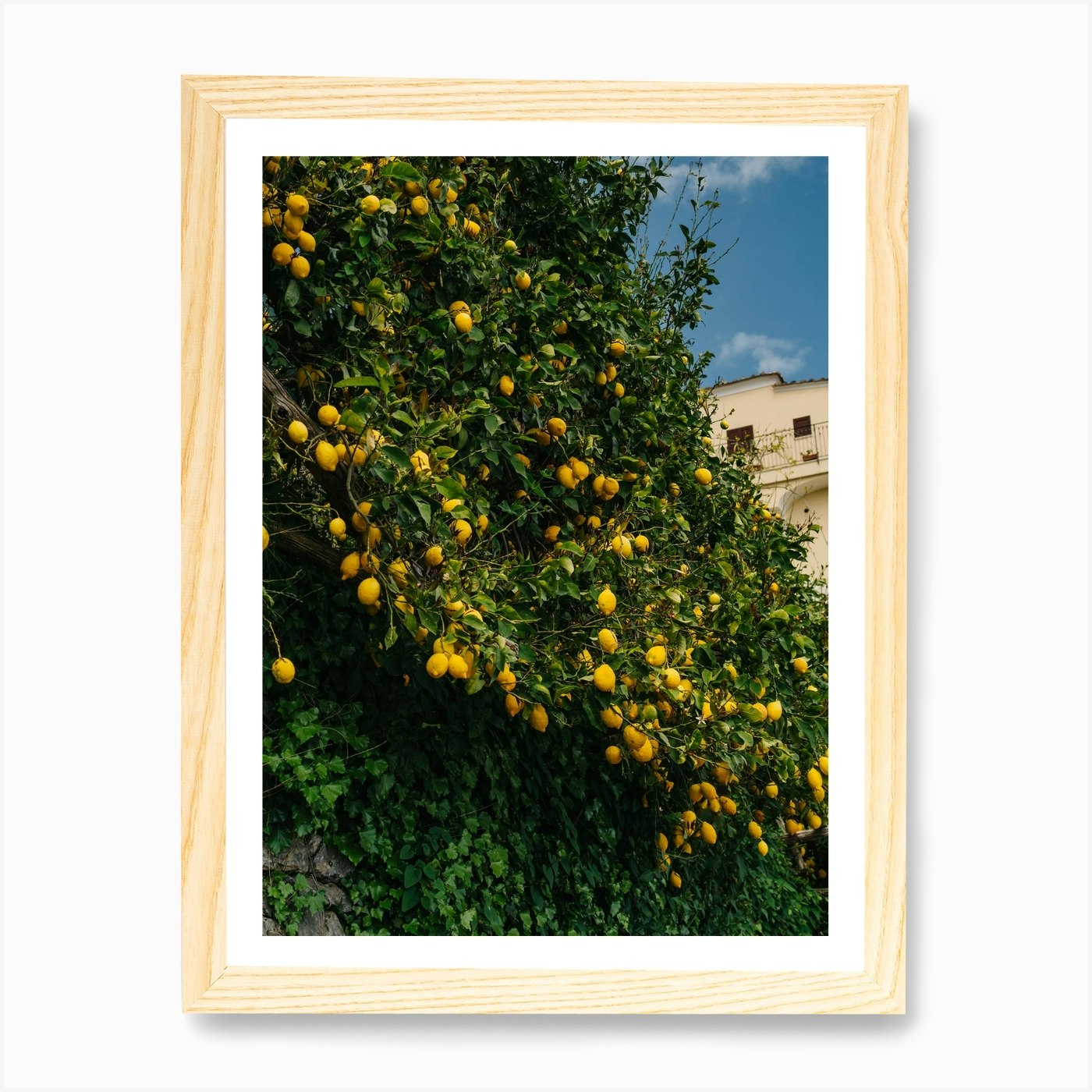 Foto 4 di 4