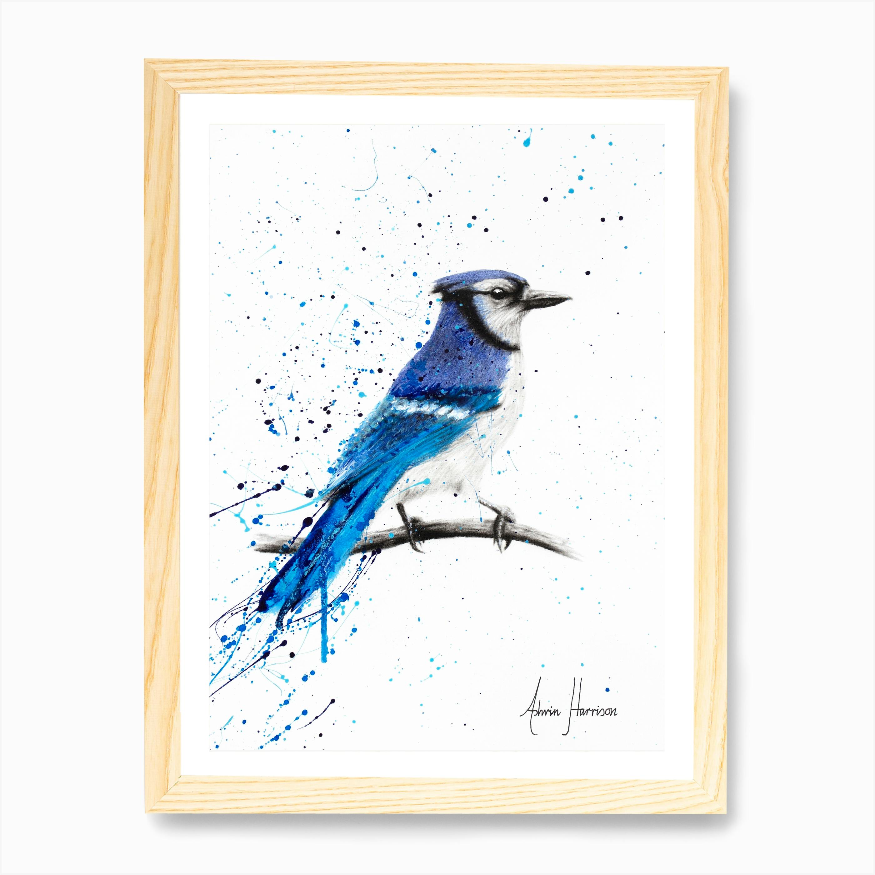 Watercolor Bird Blue Jay Art Wall Decor Watercolor Blue Jay Blue Jay Bird Blue Jay Print Bird Blue Jay Art Collectibles Watercolor Vadel Com