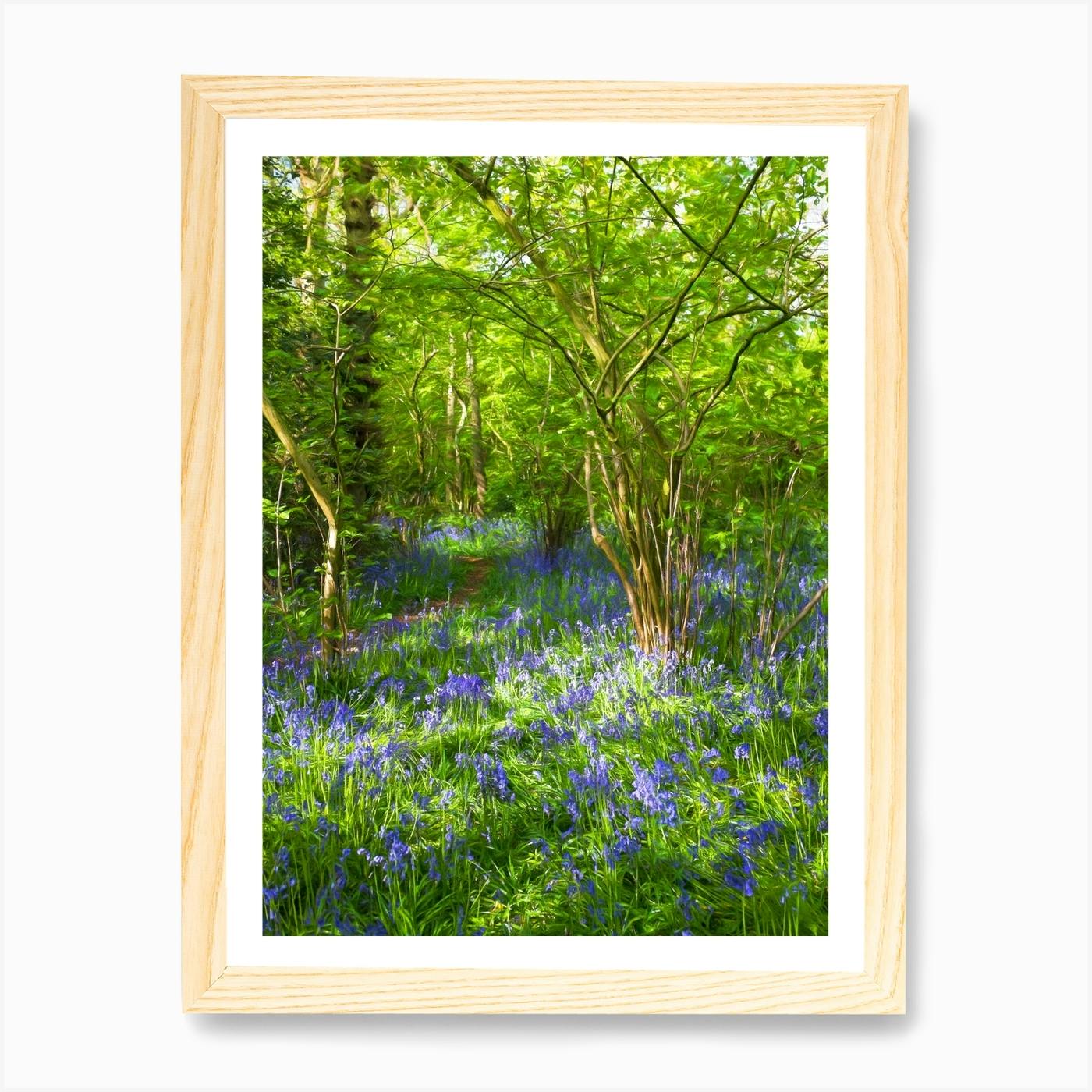 Bluebell Woods Country Landscape Canvas Pictures Wall Artwork Prints All Sizes 