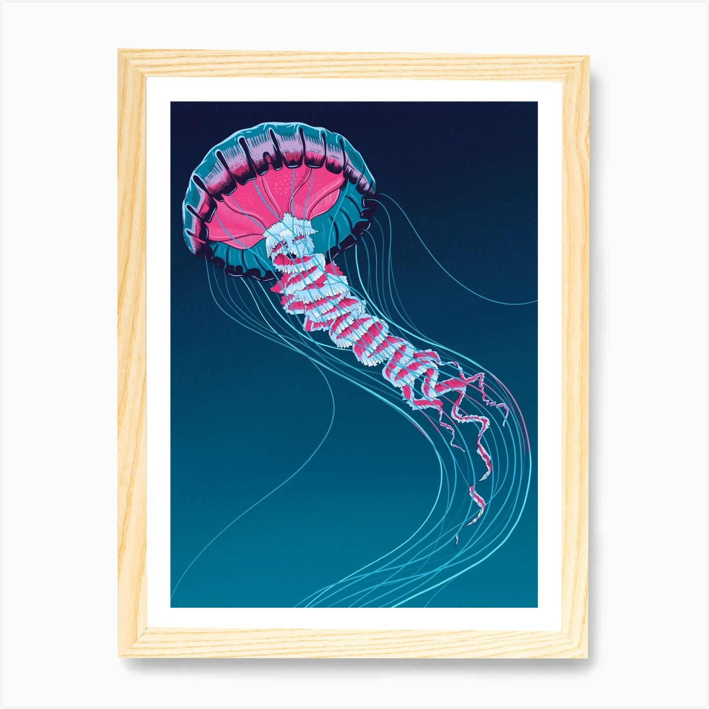 Lions Mane Jellyfish Art Print by Mark Harrison Fy