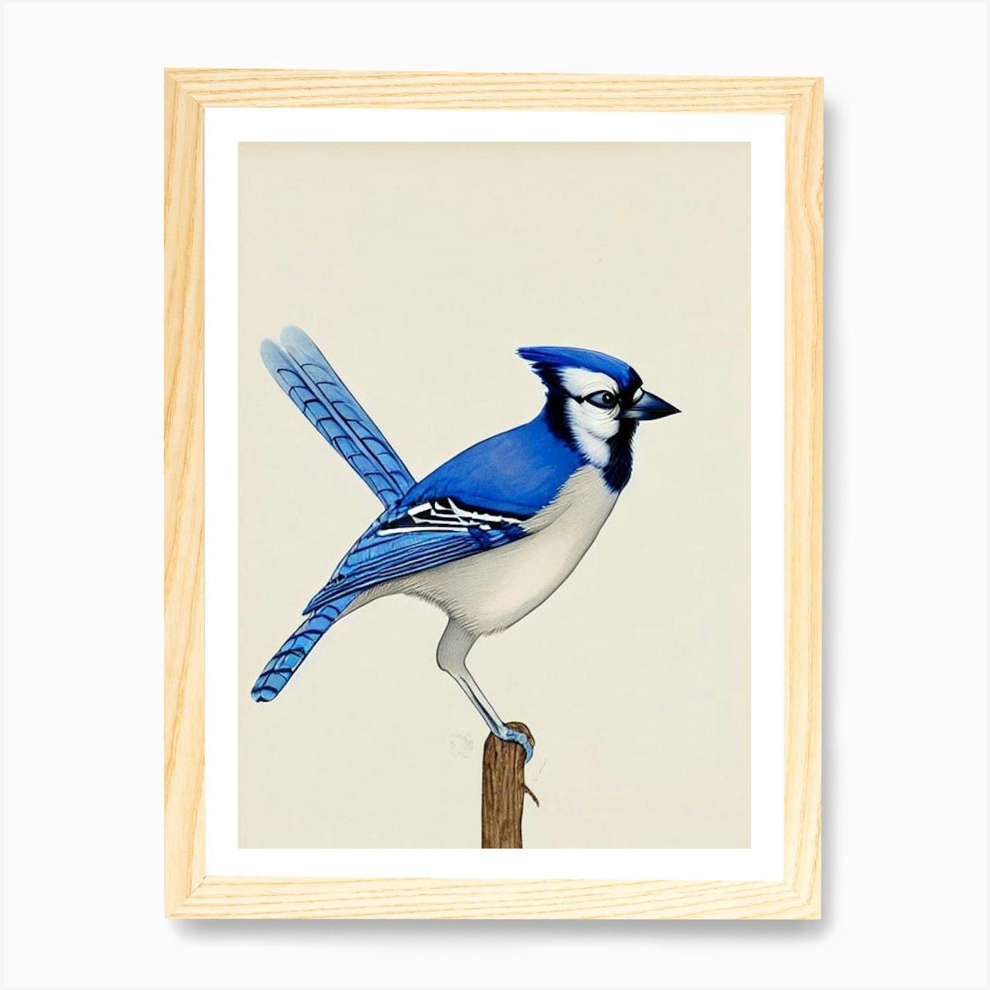 Flying Blue Jay Art Design Portrait Blue Jay. Premium T-Shirt