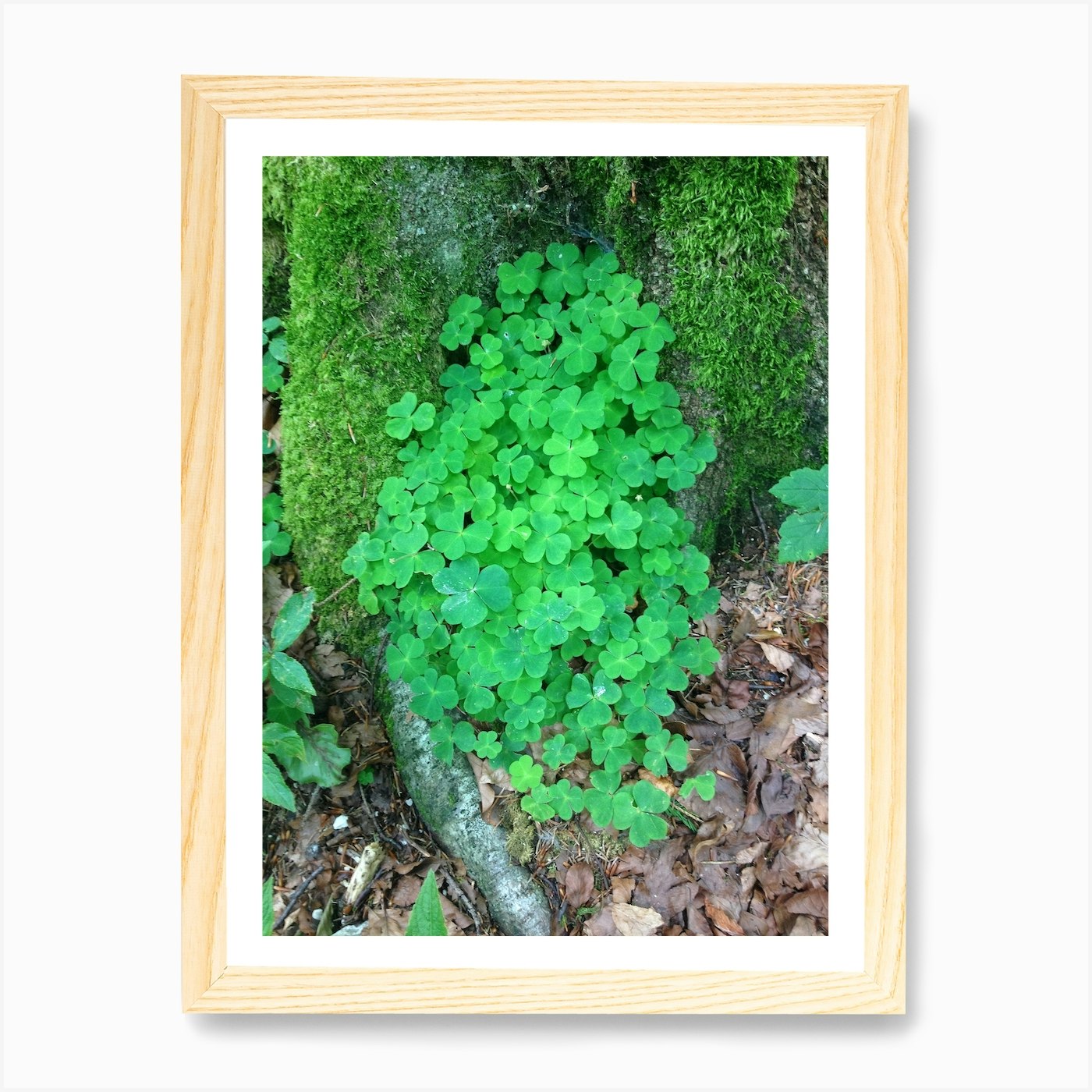 Bild 4 von 4