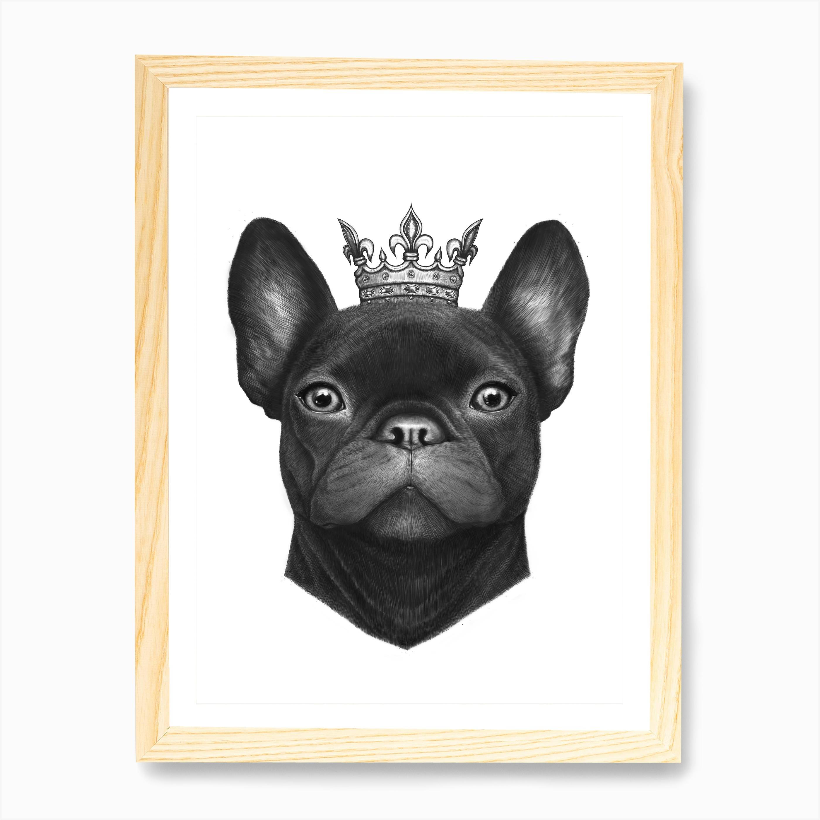Queen French Bulldog Art Print Free Shipping Fy