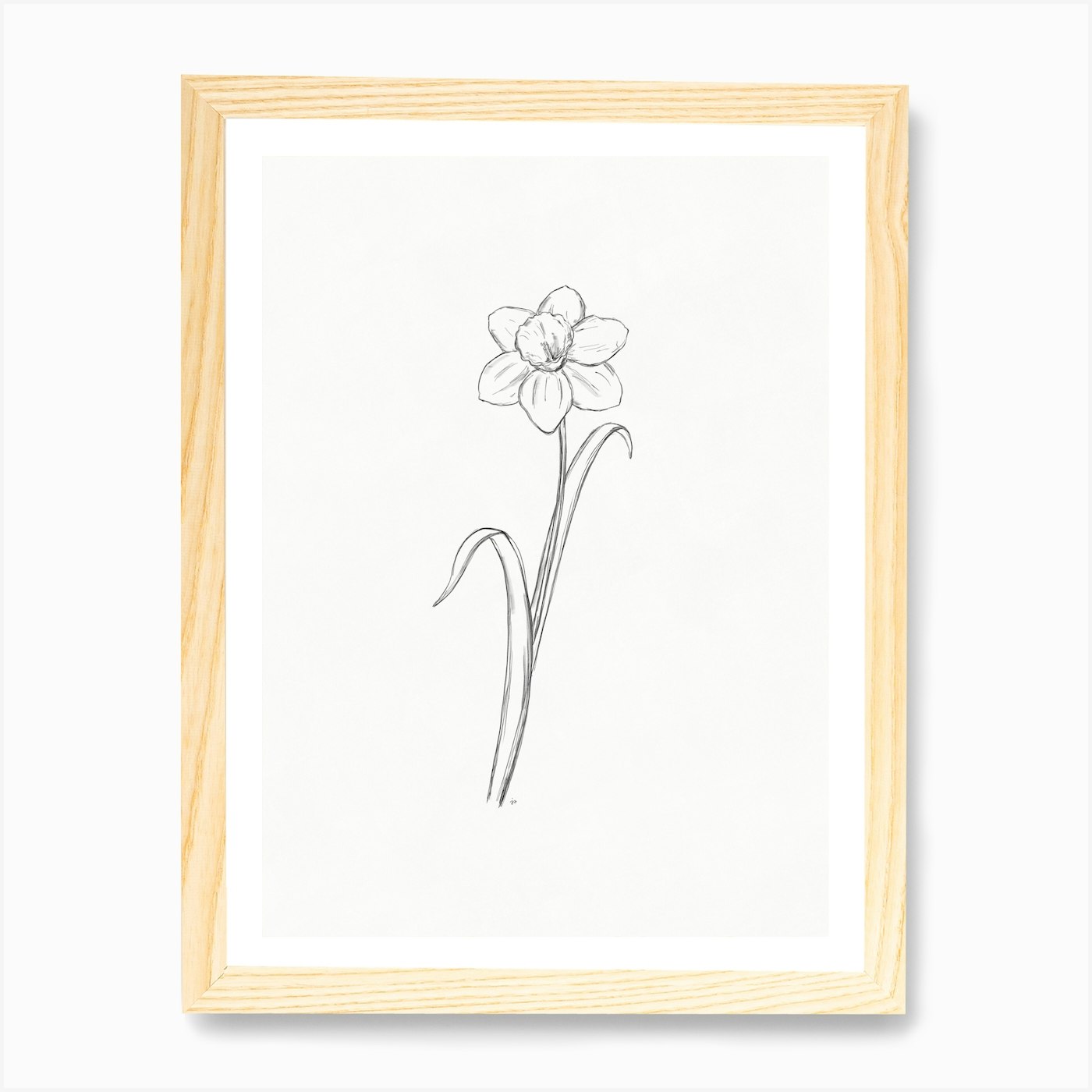 Daffodil Sketch Art Print by Ink Wild Designs - Fy