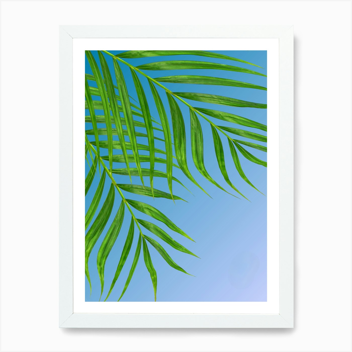 Palm Leaf, Palm Leaf Against Blue S Framed Wall Art Poster Canvas Print Picture