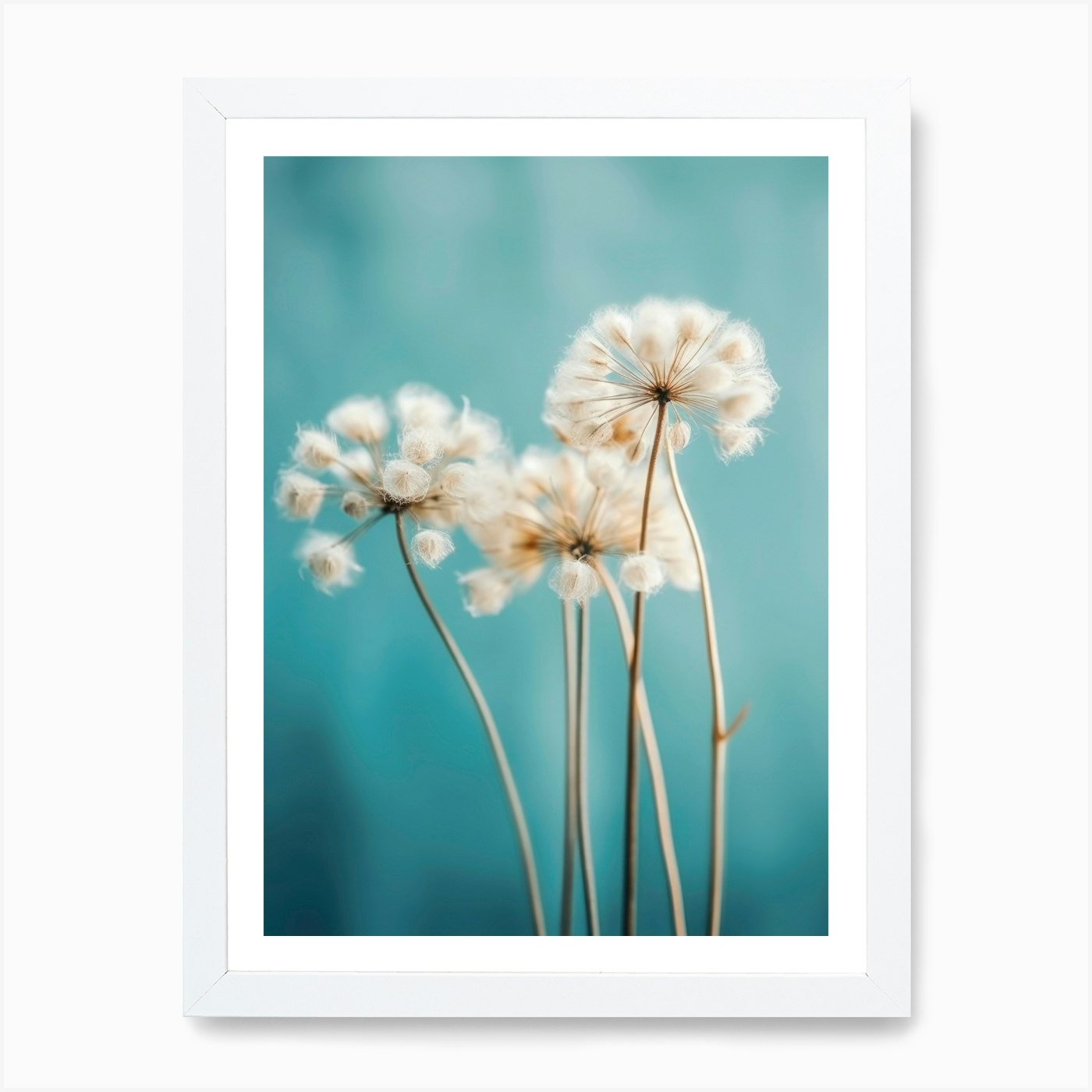 Dry Flowers Impression print by treechild