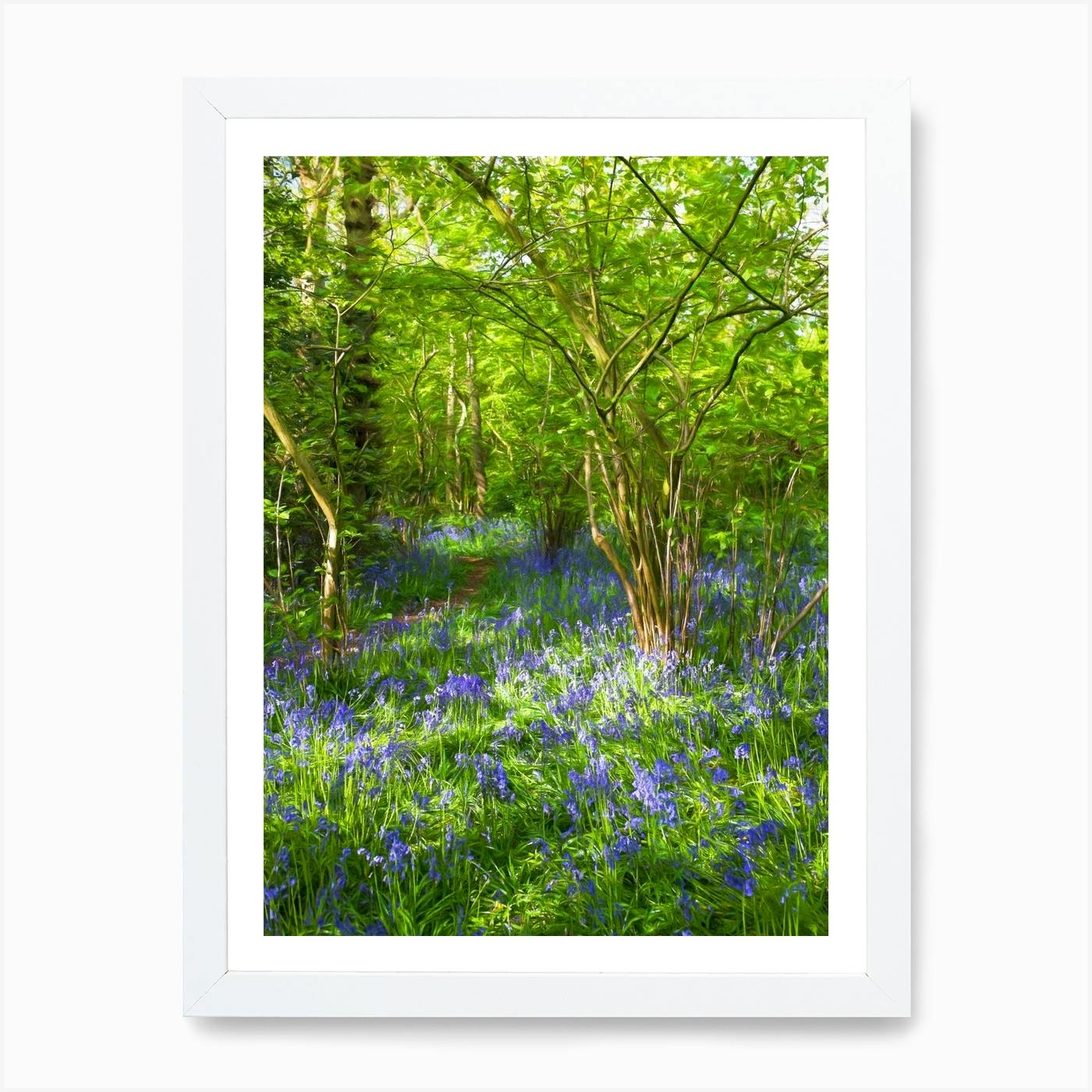 Bluebell Woods LANDSCAPE CANVAS Wall Art Print Picture 18mm frame 