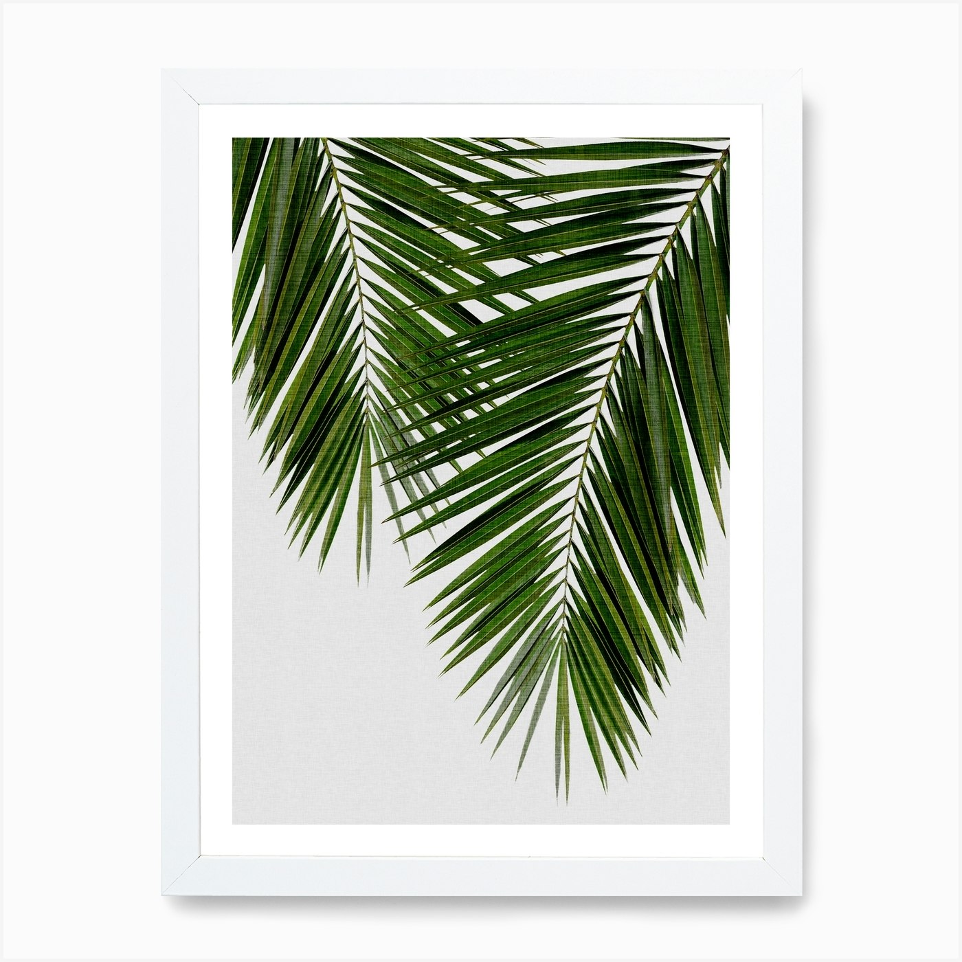 Palm Leaf Ii Wall Art Print Free Shipping Fy