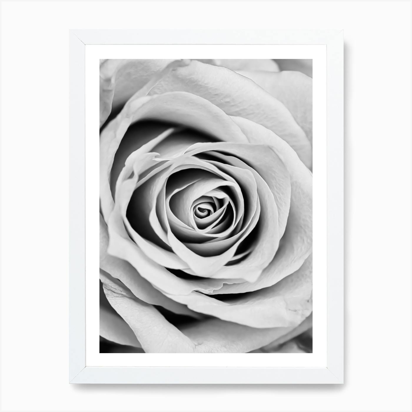 Black And White Rose Art Print By Hecetu Fy