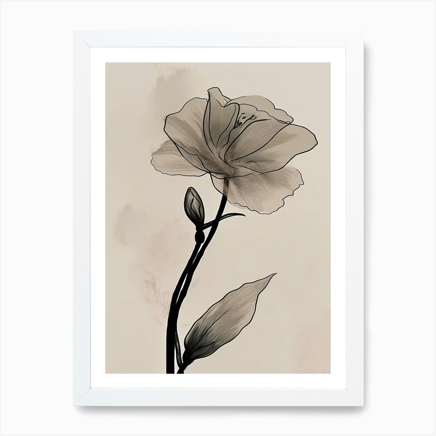 Gladioli Line Art Blumen Illustrat gerahmt Wandbild Poster Leinwanddruck Bild - Bild 3 von 4