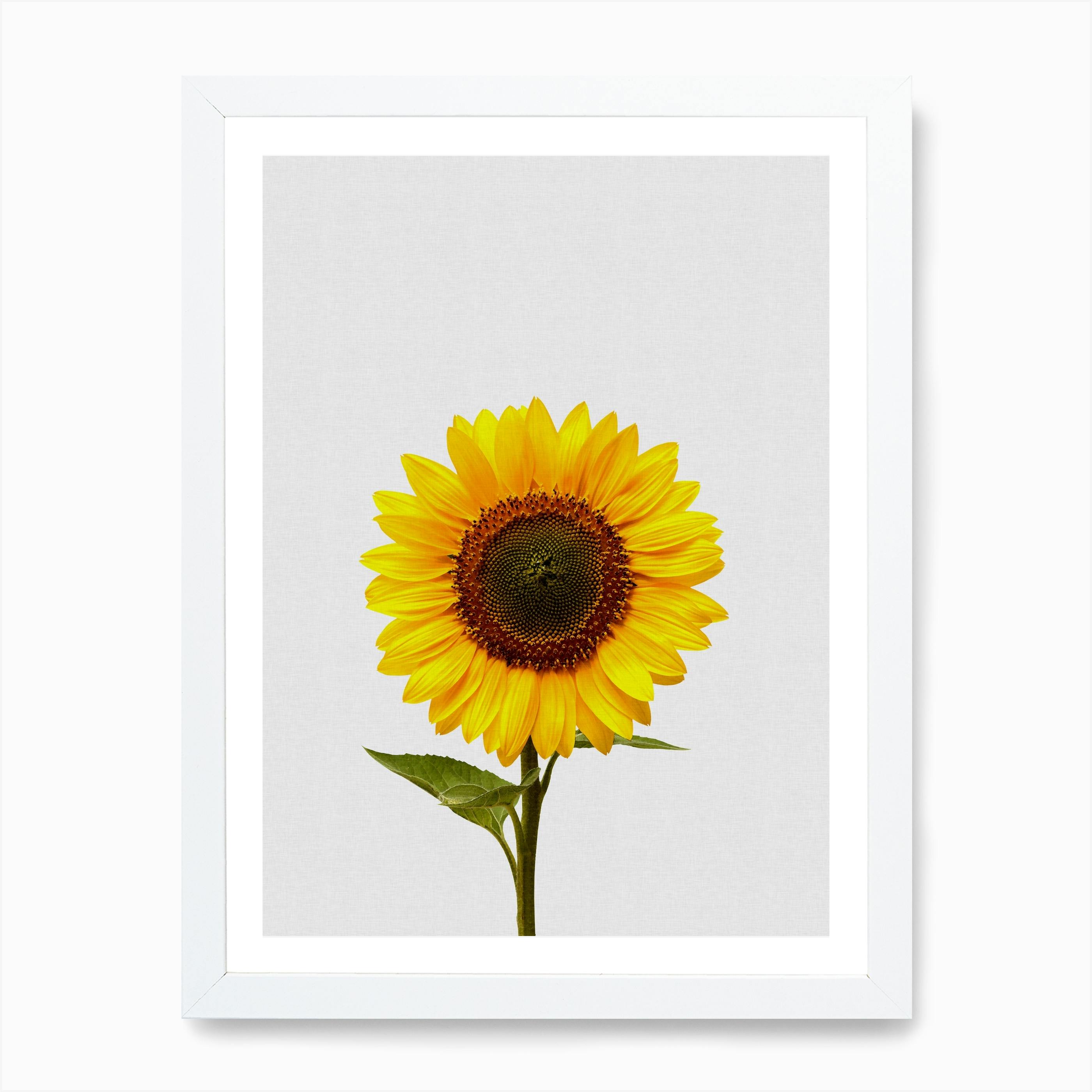 Sunflower Beauty Art Print Home Decor Wall Art Poster