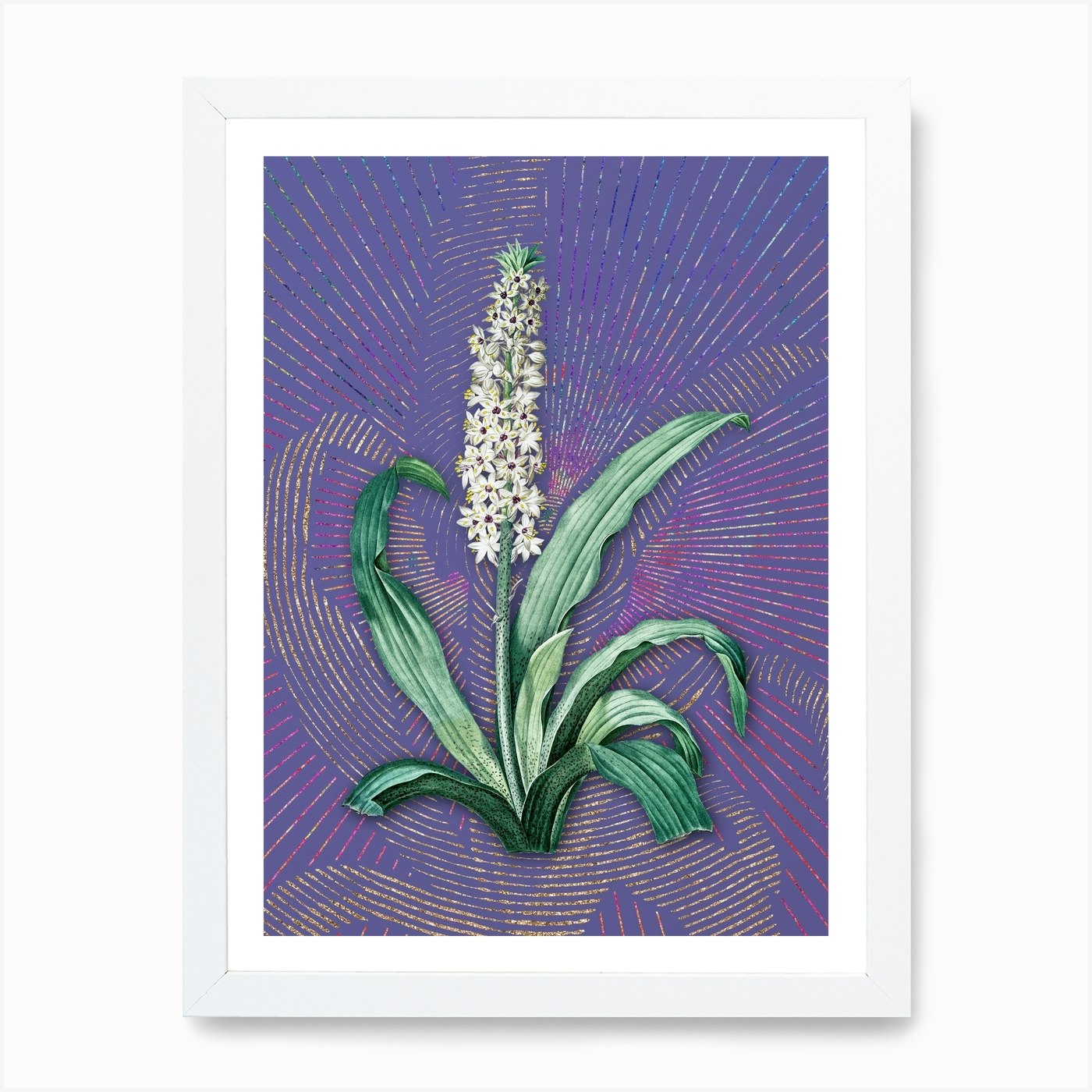 Backpack (Eucomis)