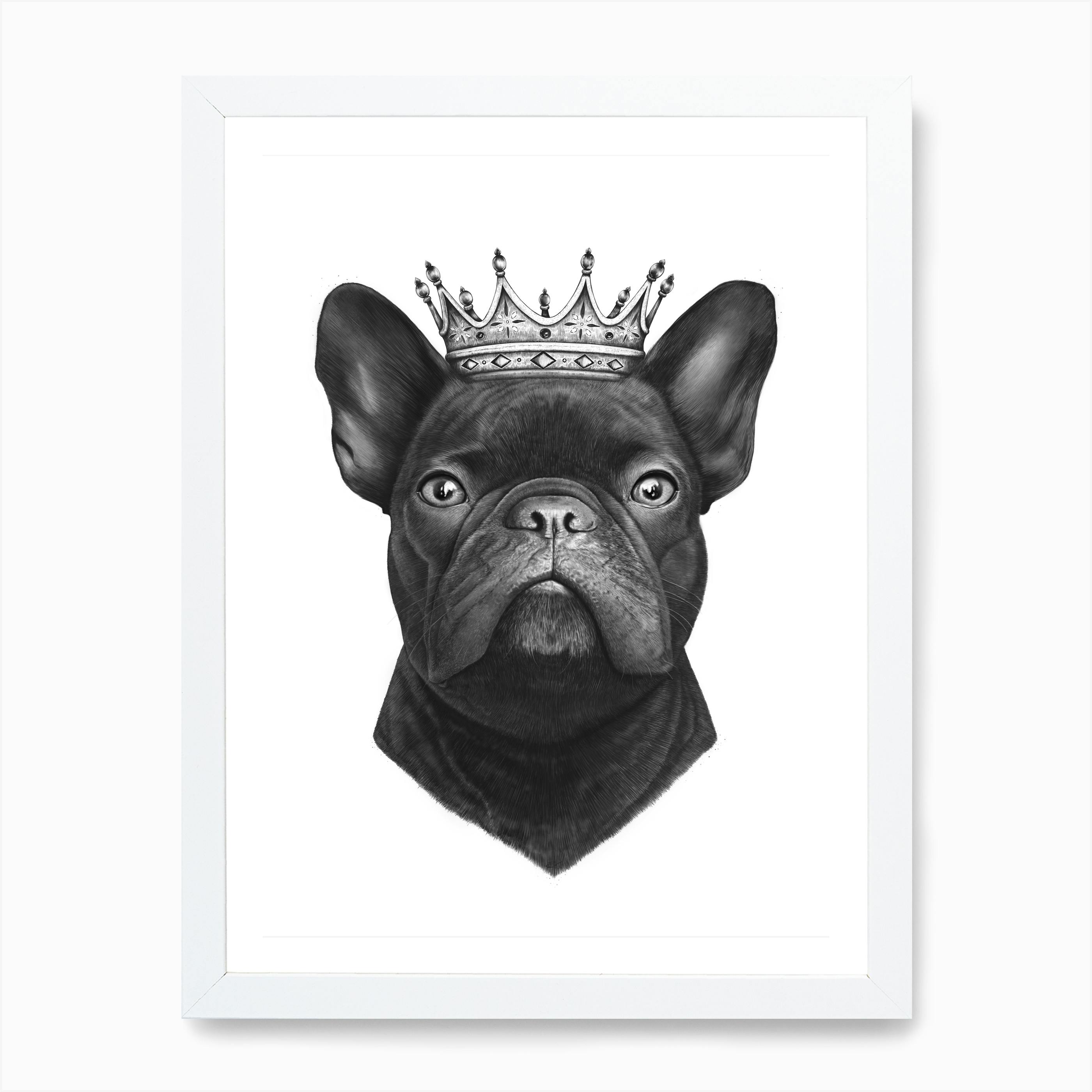 King French Bulldog Art Print Free Shipping Fy