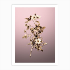 Gold Botanical Pink Pompon Rose on Rose Quartz Art Print