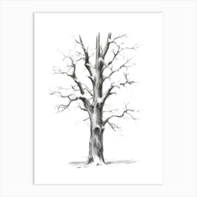 Bare Tree Art Print