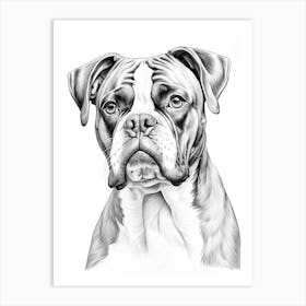 Boxer Dog, Line Drawing 3 Art Print