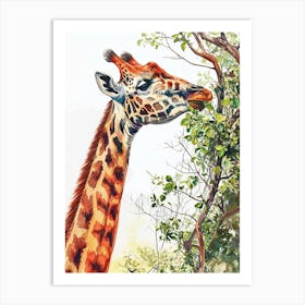 Giraffe Eating Leaves Watercolour 2 Art Print