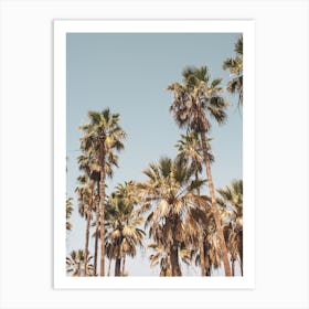 Palm Trees On The Beach 2 Art Print