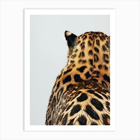 Leopard 27 Art Print