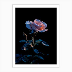 Pink Rose 55 Art Print