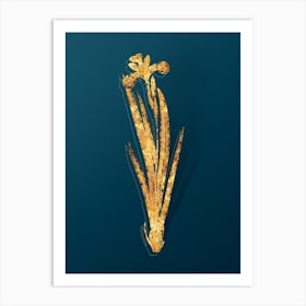 Vintage Harlequin Blueflag Botanical in Gold on Teal Blue n.0032 Art Print