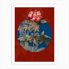 Vintage Botanical Provins Rose on Circle Blue on Red n.0095 Art Print