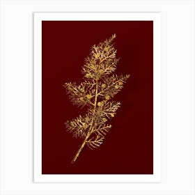 Vintage Phoenicean Juniper Botanical in Gold on Red Art Print
