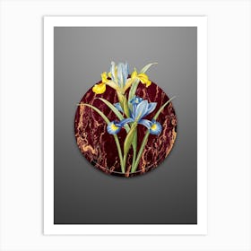 Vintage Spanish Iris Botanical in Gilded Marble on Soft Gray Art Print