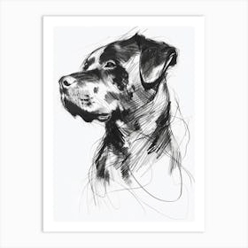 Rottweiler Dog Charcoal Line Art Print