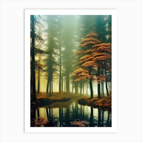 Autumn Forest 72 Art Print