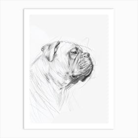 Bulldog Charcoal Line Sketch Art Print