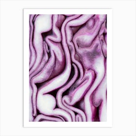 Abstract red cabbage pattern - Purple and white pattern - Food photography and macro photography by Christa Stroo Photography Art Print