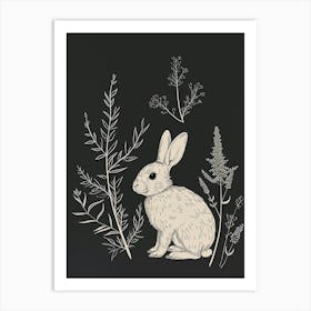 Mini Sable Rabbit Minimal Illustration 3 Art Print