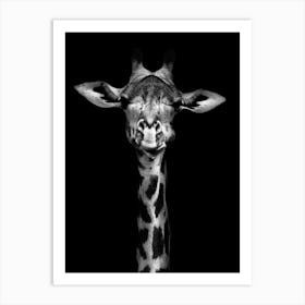 Giraffe Portrait Art Print