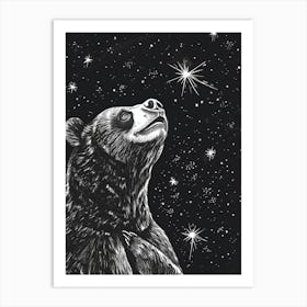 Malayan Sun Bear Looking At A Starry Sky Ink Illustration 5 Art Print