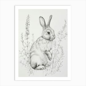 Silver Marten Rabbit Drawing 4 Art Print