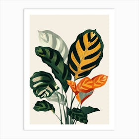 Calathea Plant Minimalist Illustration 3 Art Print