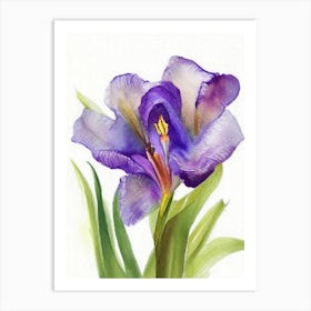 Iris Wildflower Watercolour 1 Art Print